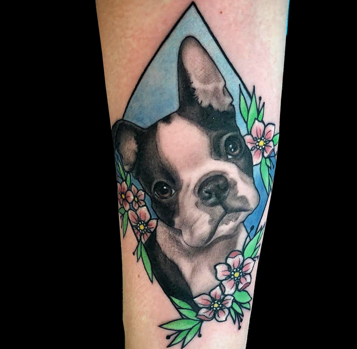 black and white patterned Boston Terrier in a blue diamond with flowers tattoo on the forearm