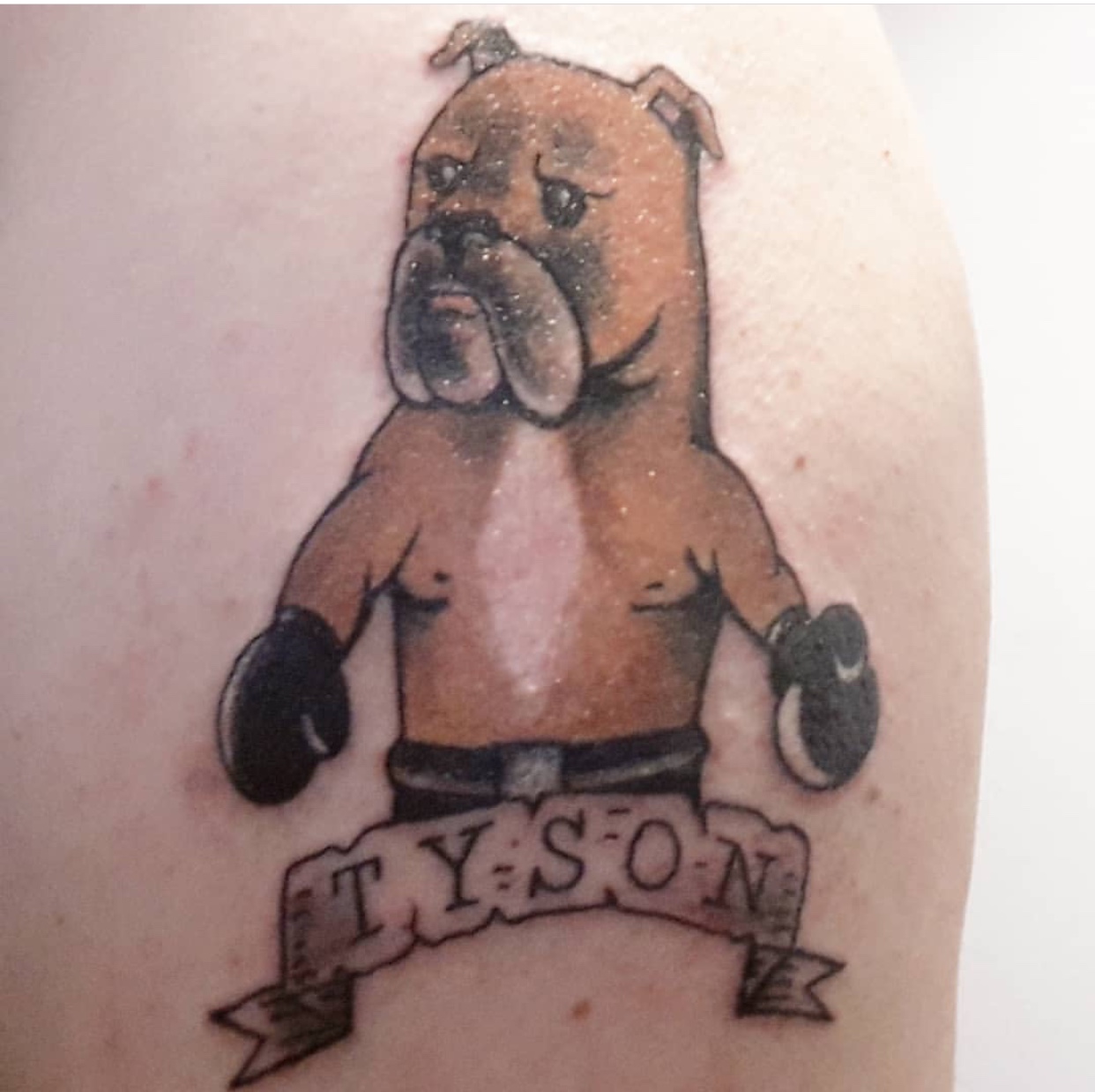 artwork of a Boxer wearing boxer gloves tattoo