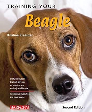 beagle training books