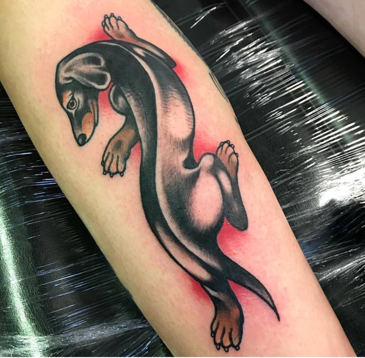 15 Chic Tattoo Designs for Dachshund Fans - The Paws