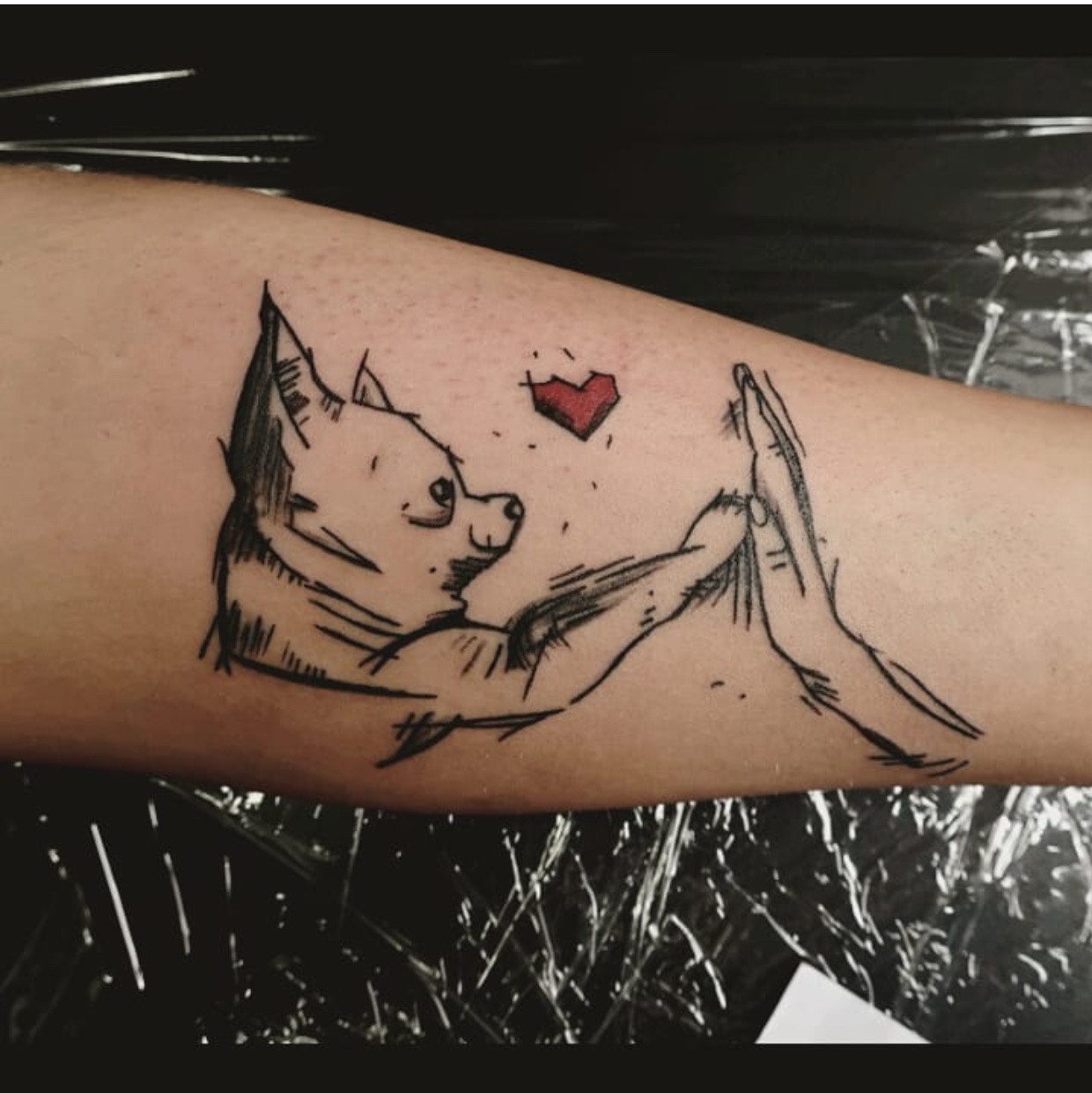 Chihuahua giving a high five tattoo on the forearm