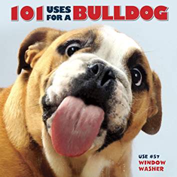 Book cover with the photo of an English Bulldog sticking its tongue out and titled as 
