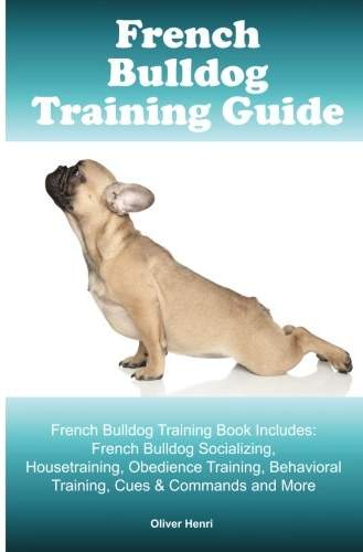 photo of a French Bulldog stretching and with title - French Bulldog training guide