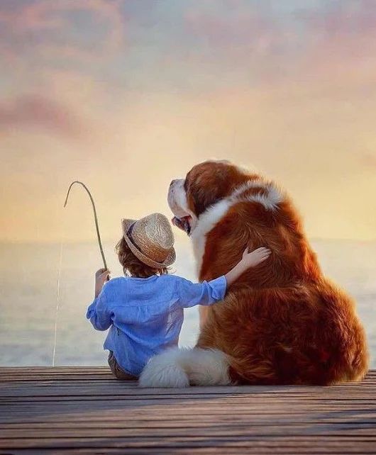 A kid fishing while sitting on the wooden floor by the beach with a Saint Bernard