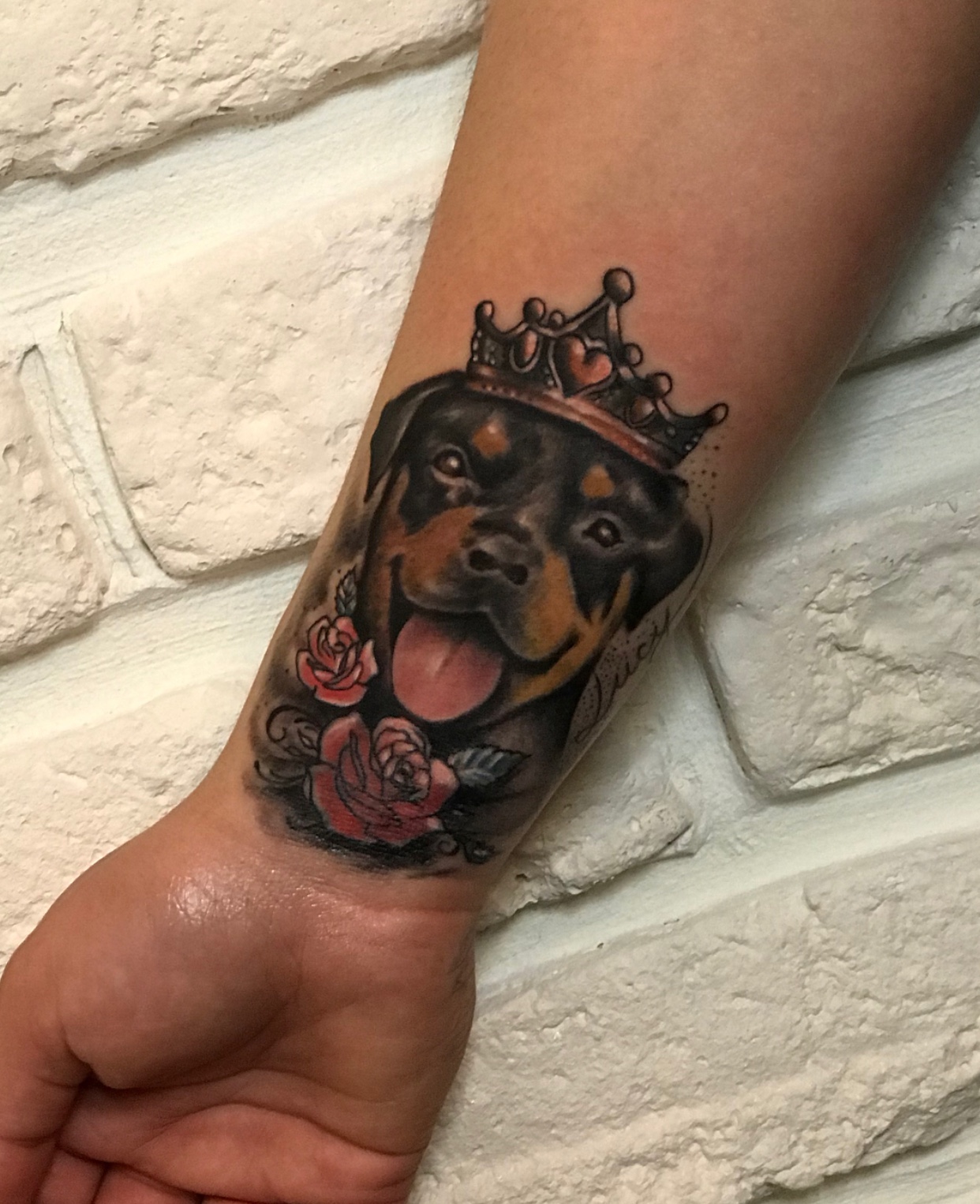 face of a happy Rottweiler wearing crown tattoo on wrist