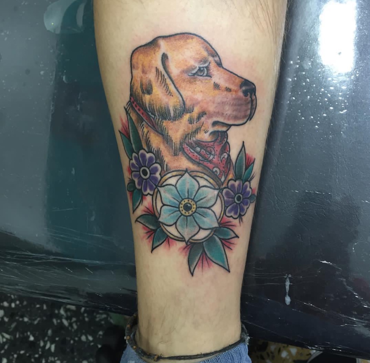 sideview face of a Labrador Retriever with flowers tattoo on the leg