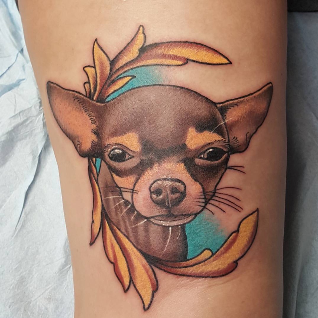 focusing face pf Chihuahua tattoo
