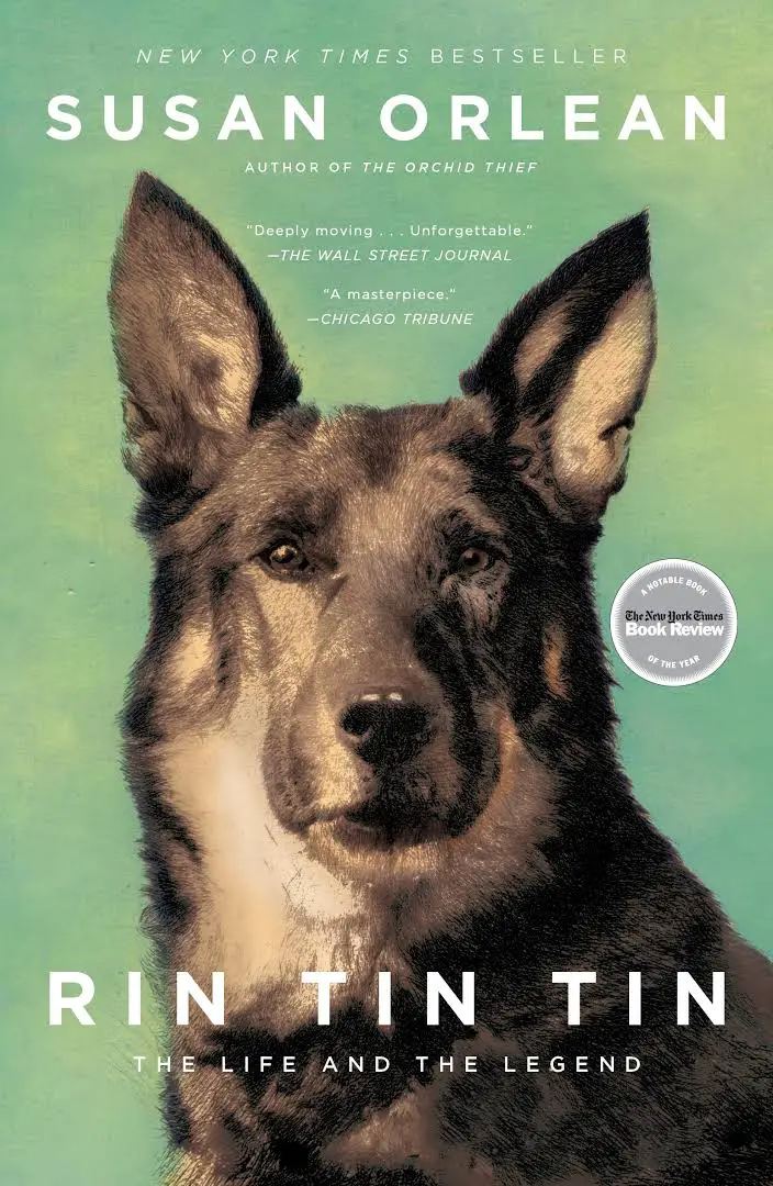 A book cover with a portrait of a german shepherd dog with title - Rin Tin Tin, the life and the legend