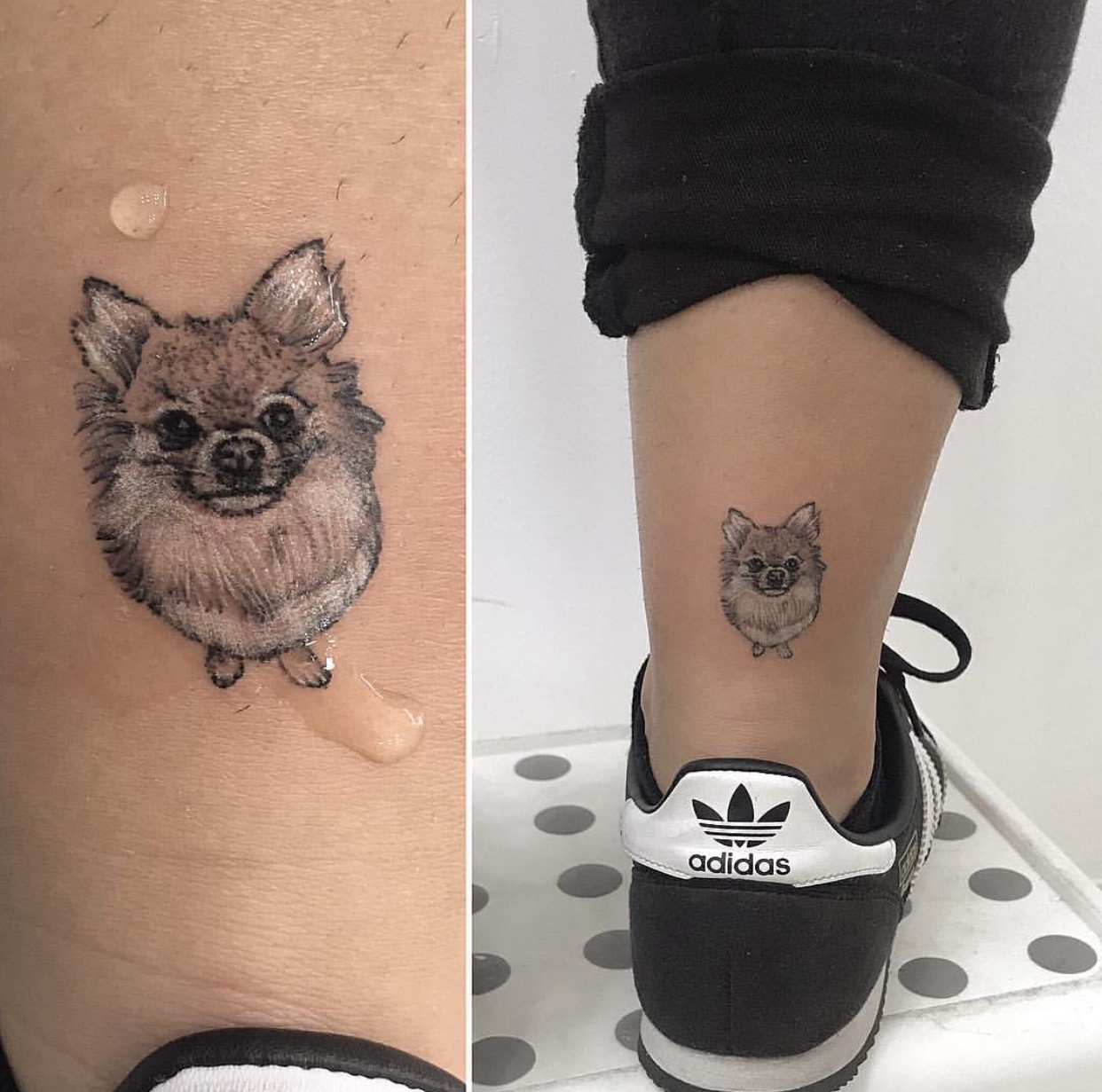 Pomeranian dog tattoo on the back of the ankle