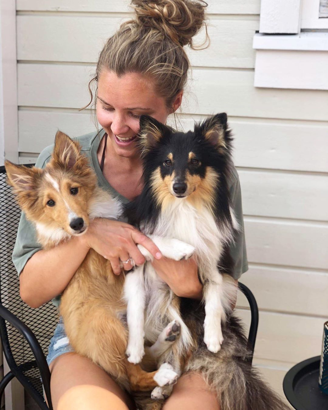 A woman sitting on the chair with her two Shelties on her lao