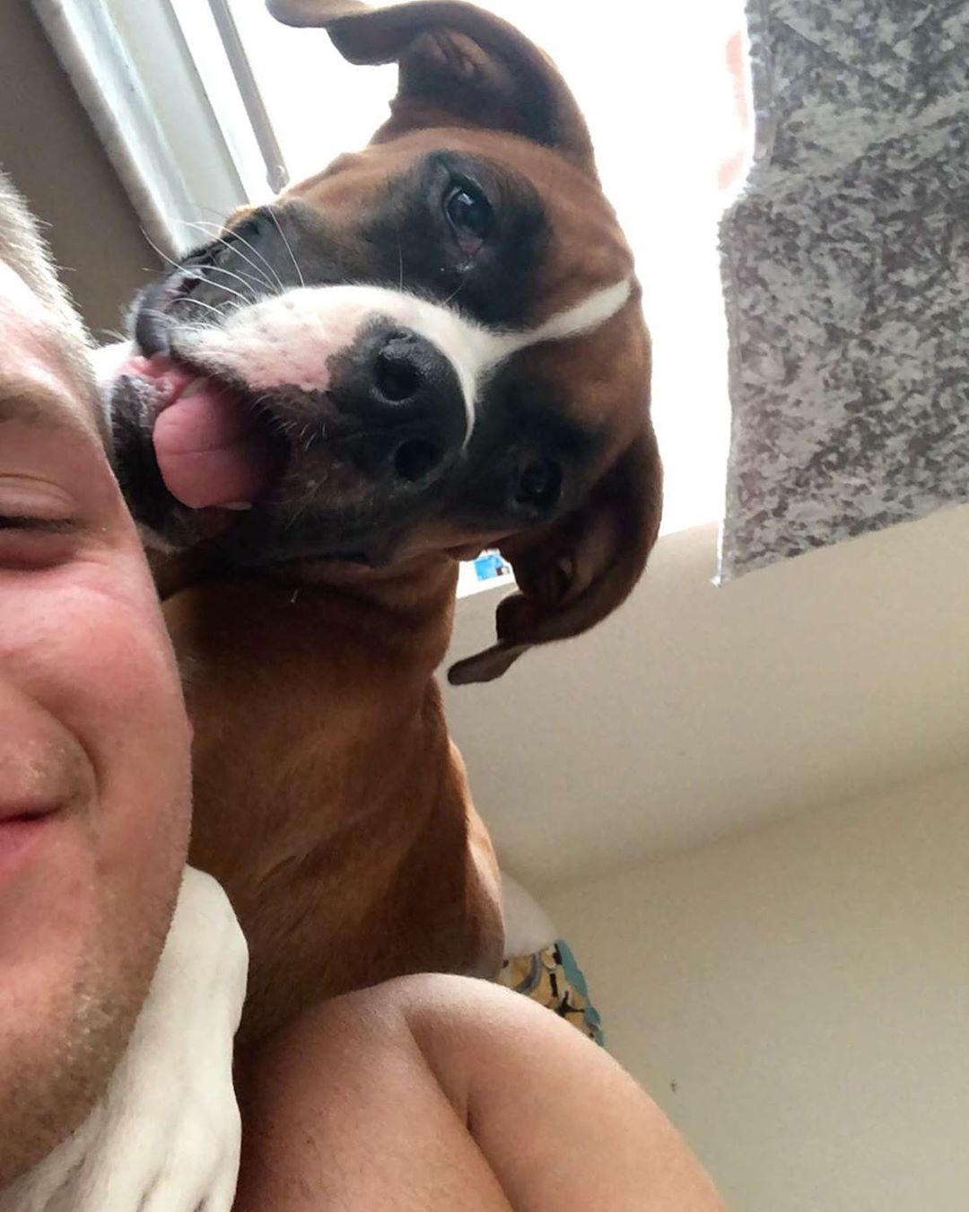 a man lying on the bed while taking a selfie with his Boxer Dog