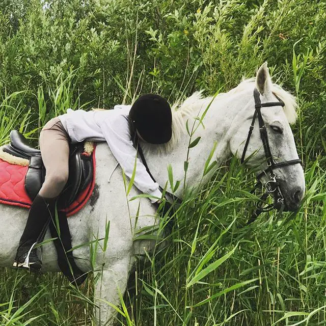 A woman hugging a white Horse while sitting on its back