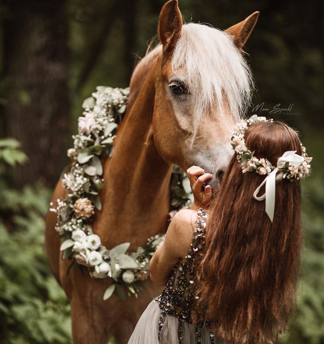A Horse wearing a flower and leaves garland while standing in front of lady kissing her nose
