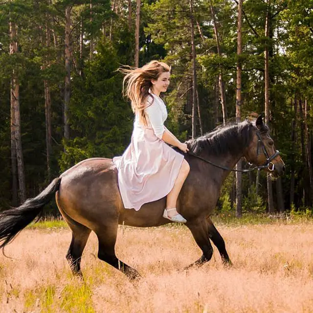 a girl riding a horse in the forest