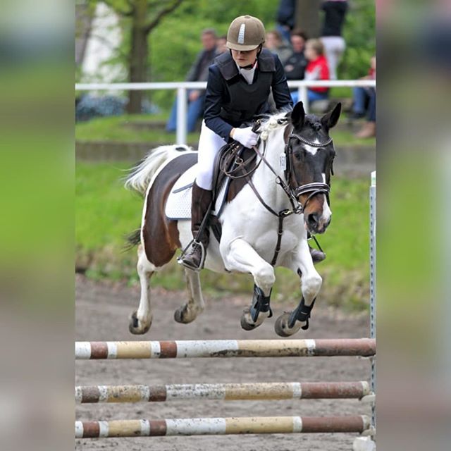 Horse jumping towards the fence