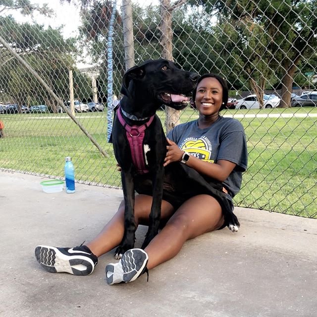 A woman sitting on the pavement with a Great Dane sitting on her lap