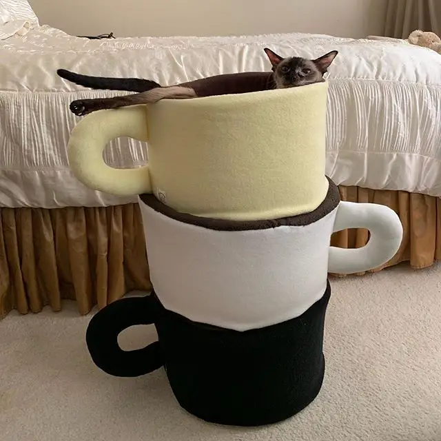Siamese Cat inside the top of a piled coffee pillows