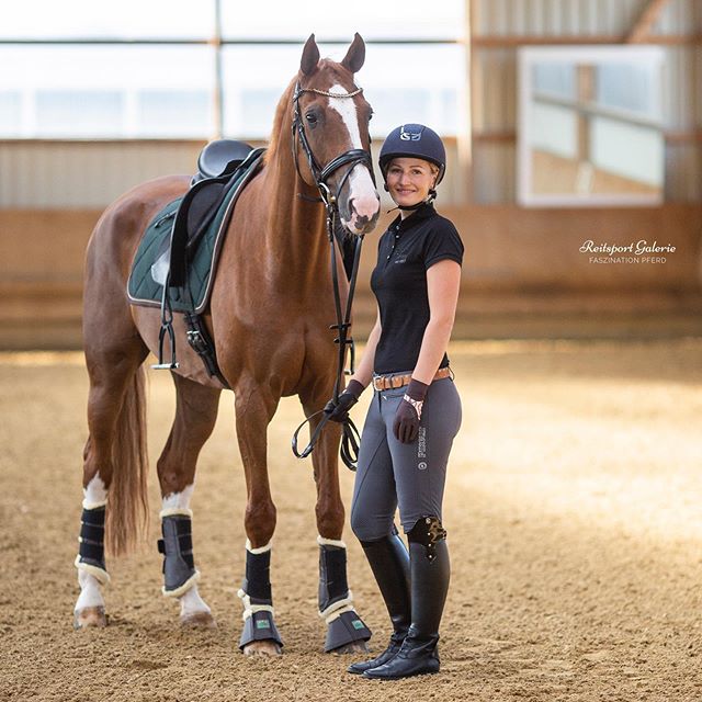 Horse with a girl rider