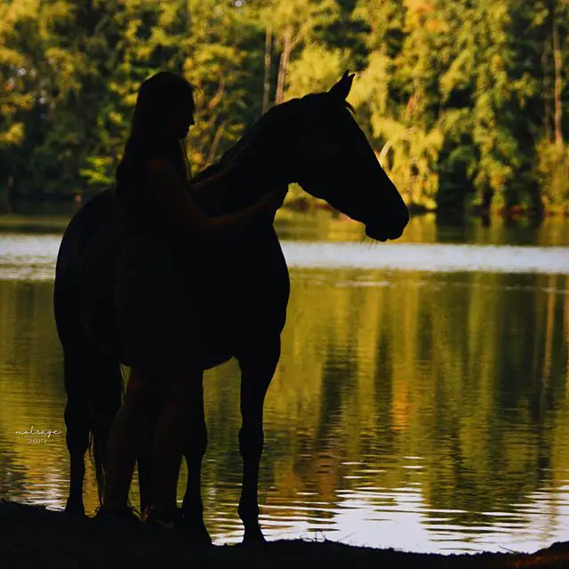 silhouette of a horse and girl by the lake
