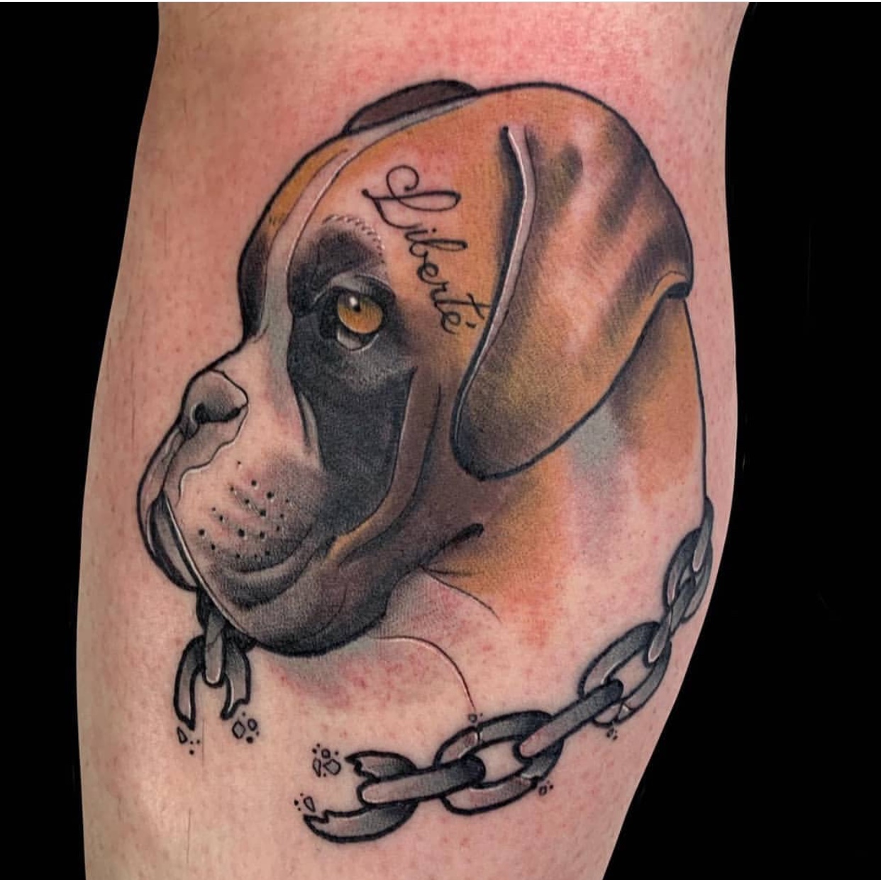 An artistic sideview face of a Boxer tattoo on the leg