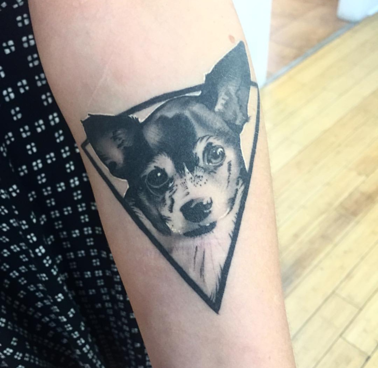 Chihuahua face in upside down triangle tattoo on the forearm