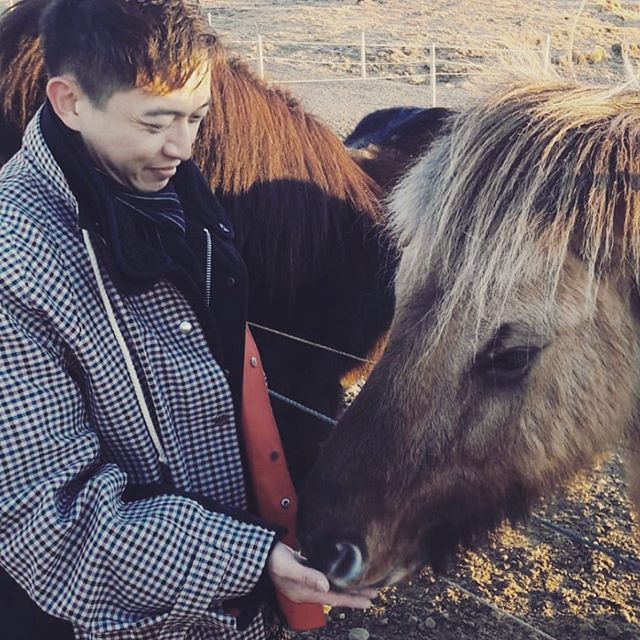 man feeding a horse