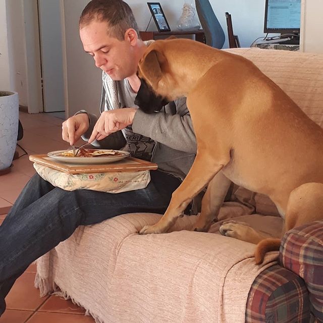 A man sitting on the couch while eating its food while a Great Dane sitting beside him and staring his food