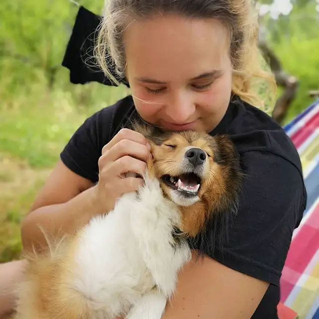 a woman sitting on a hammock with a Sheltie in her arms