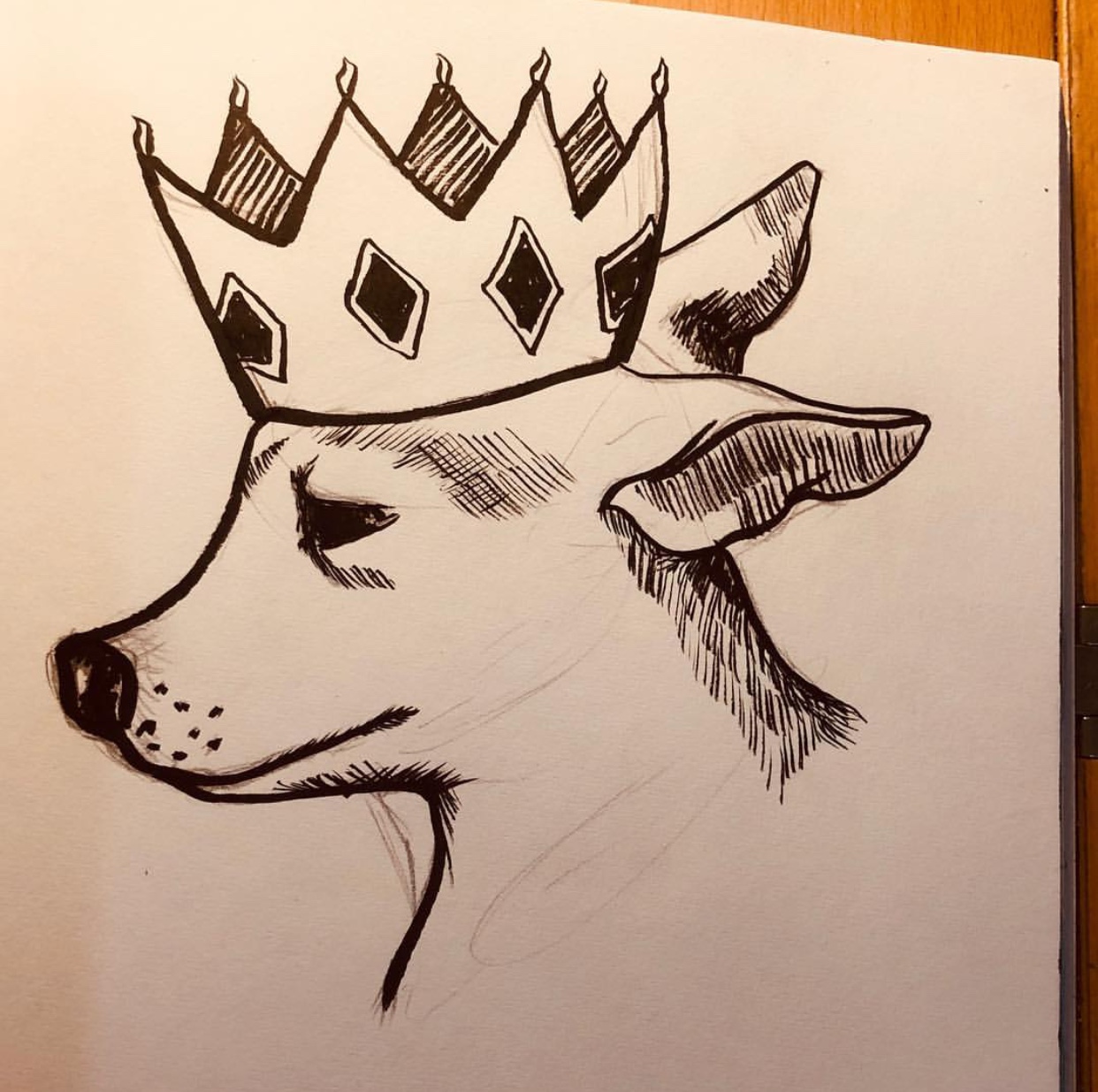 sketch of a Chihuahua wearing a crown on a paper