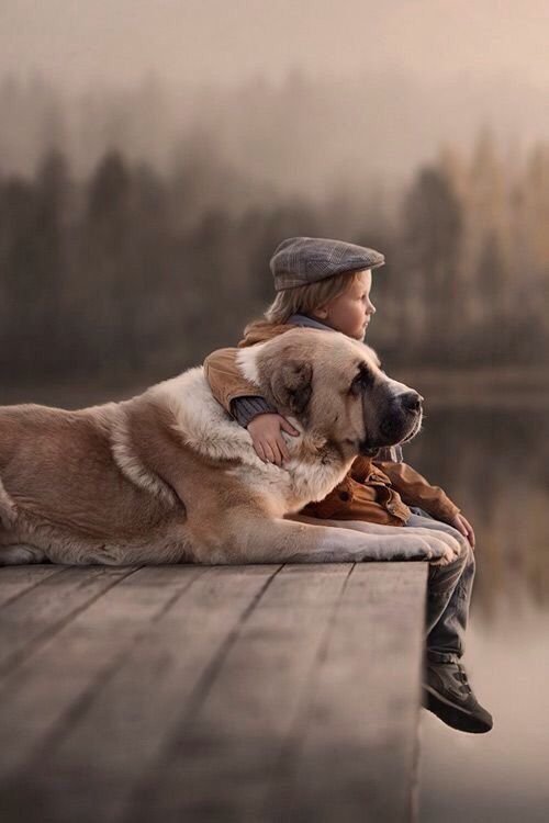 A boy sitting on the deck at the lake while embracing his Saint Bernard lying down next to him