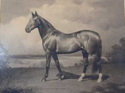a portrait of a horse named Hambletonian 10