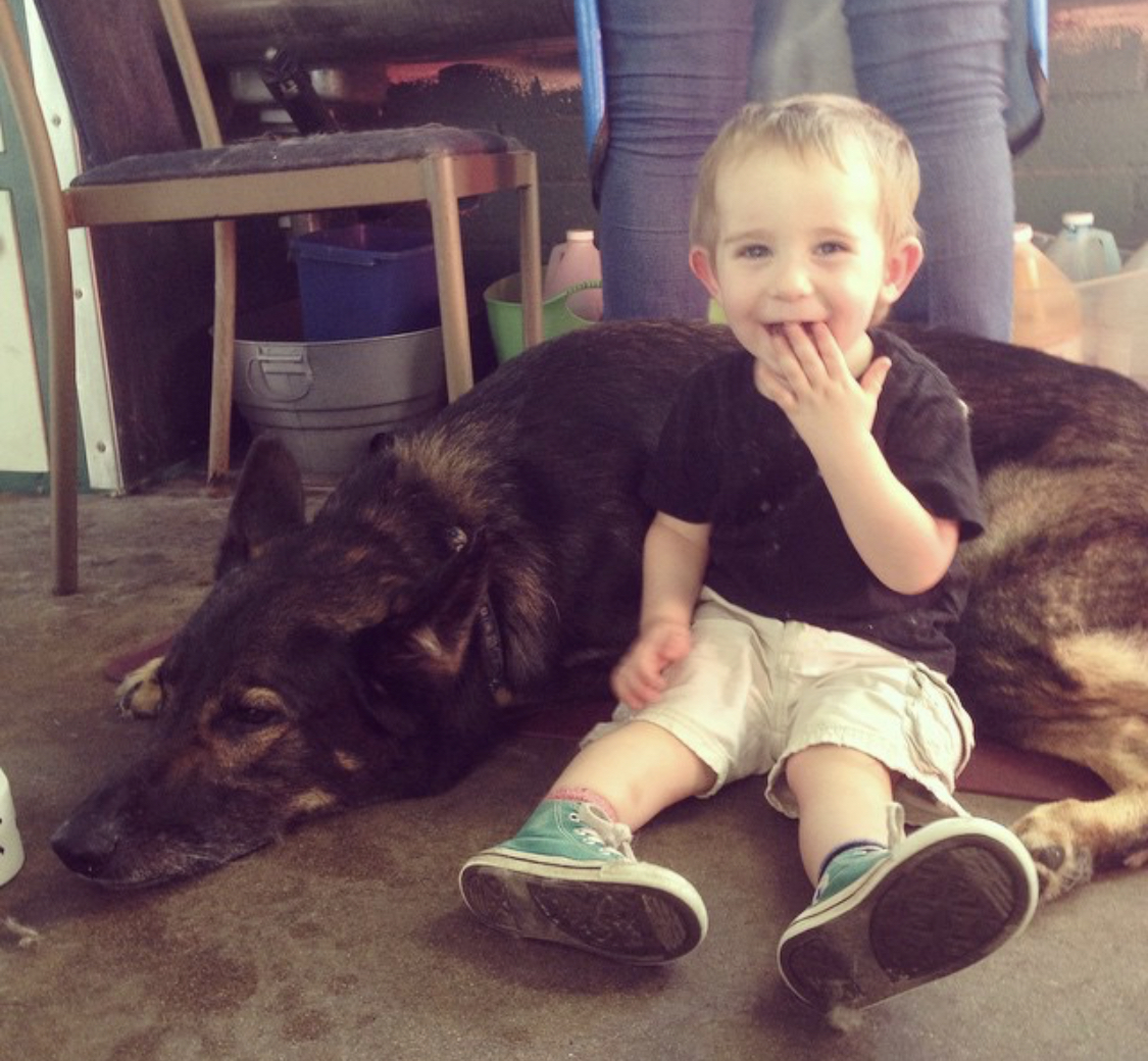 A German Shepherd lying on the bed with a kid sitting beside him