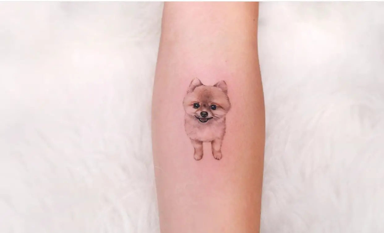 minimalist Pomeranian tattoo on the forearm