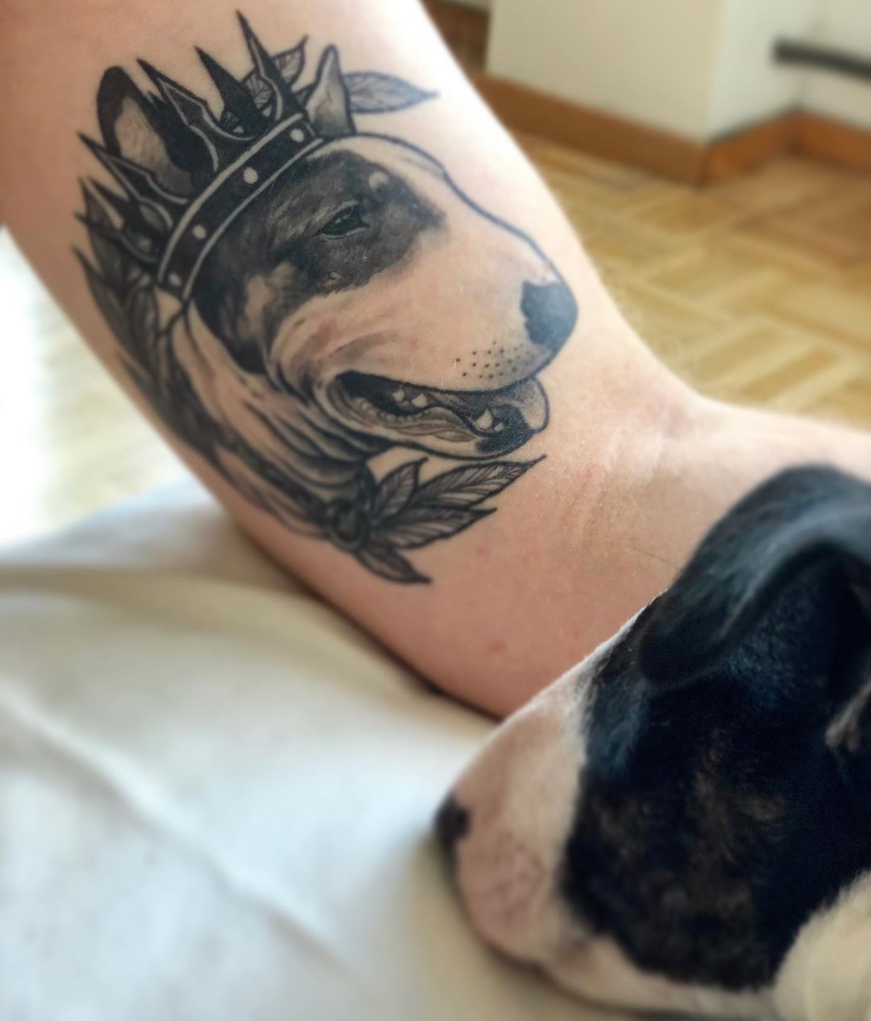 Bull Terrier wearing a crown tattoo on the biceps