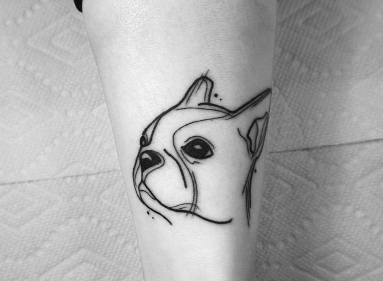 minimalist outline face of Boston Terrier tattoo on the forearm