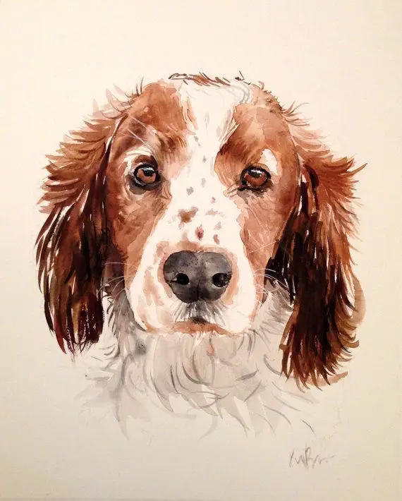 artistic painting of the face of a Brittany