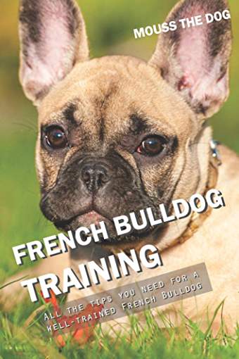 photo of a French Bulldog lying on the grass and with title - French Bulldog training