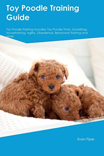 Book cover with title- Toy Poodle Training Guide Toy Poodle Training Includes: Toy Poodle Tricks, Socializing, Housetraining, Agility, Obedience, Behavioral Training and More. And a photo of two Poodle puppies snuggled in bed