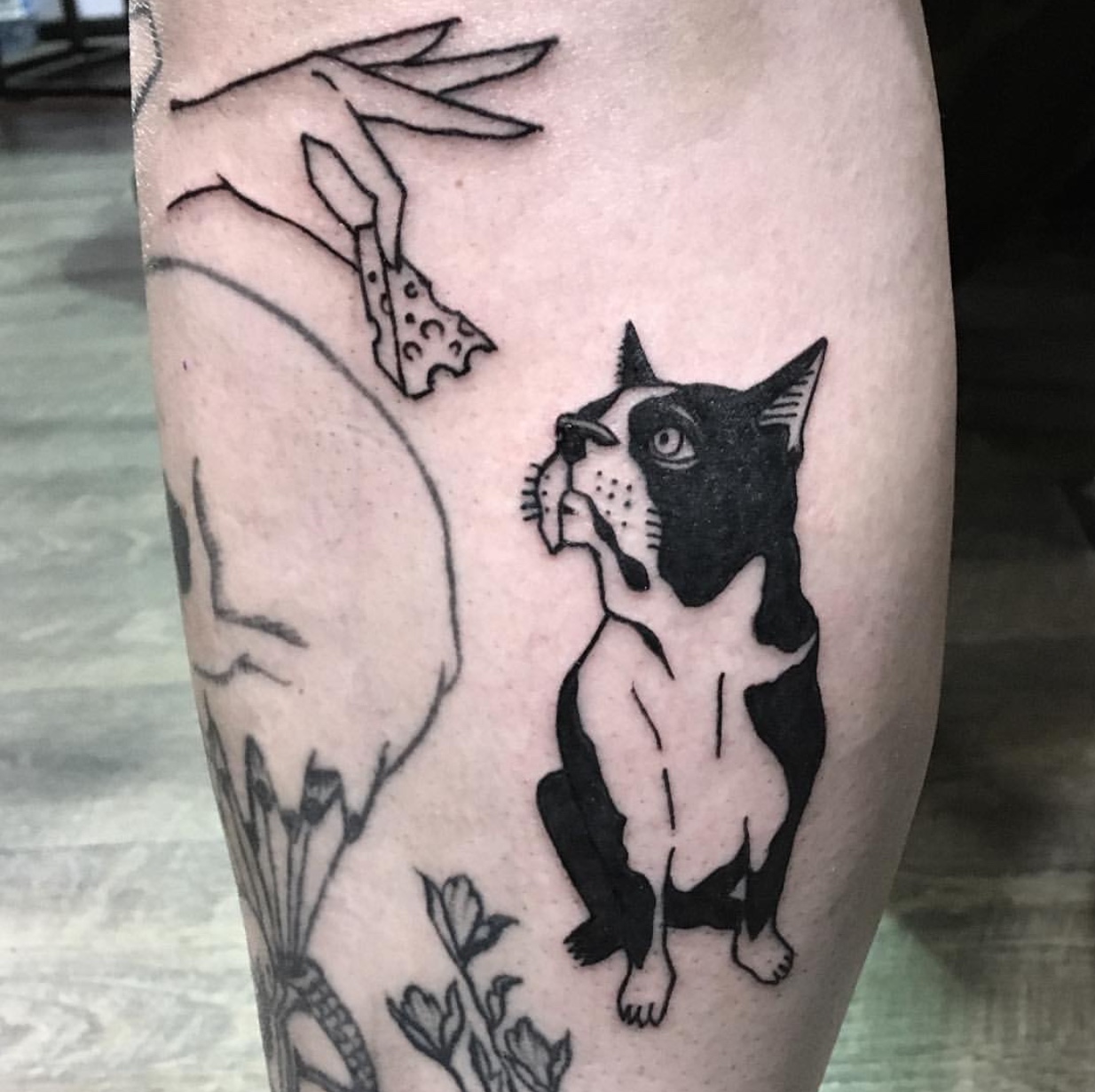 Boston Terrier sitting while looking at a piece of cheese in the hands of a person tattoo on the forearm