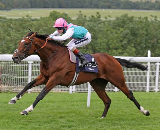 man riding a horse named Frankel