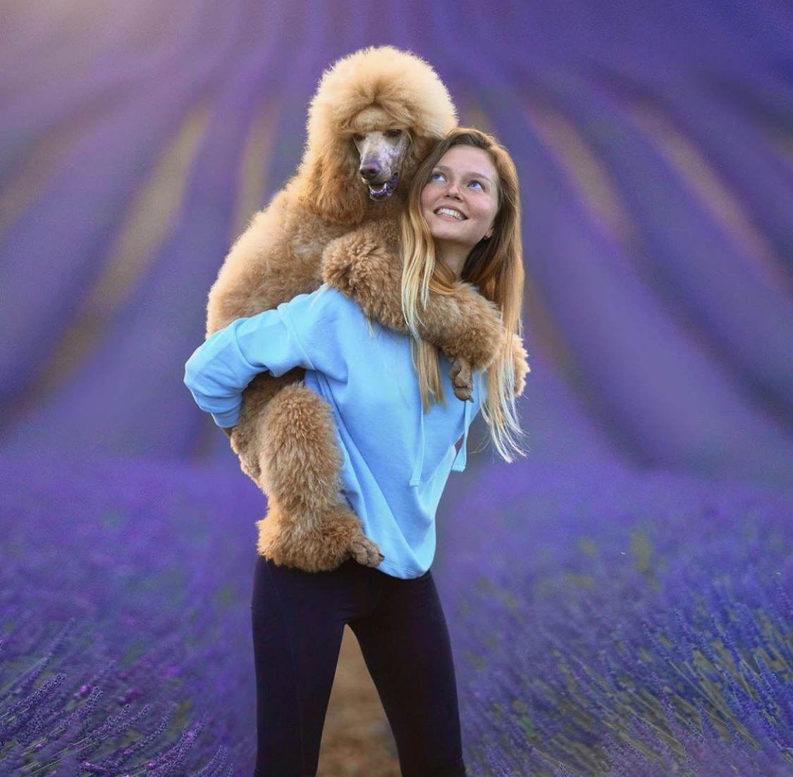 A woman carrying a Poodle on its back