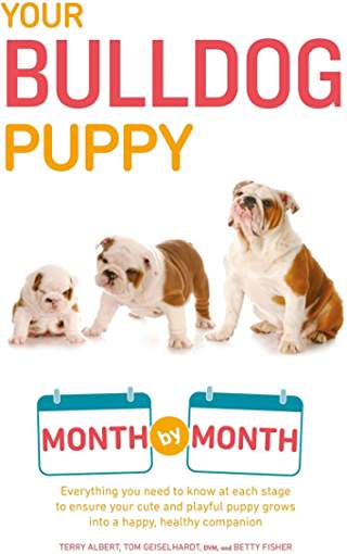 Book cover with the photo of puppy, young, and an adult Bulldog and titled as 