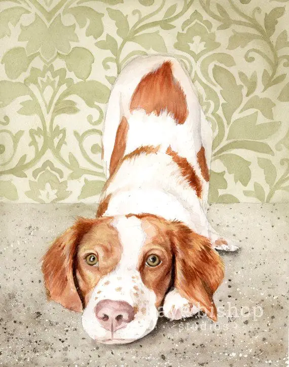 a painting of a Brittany in a bow playing position