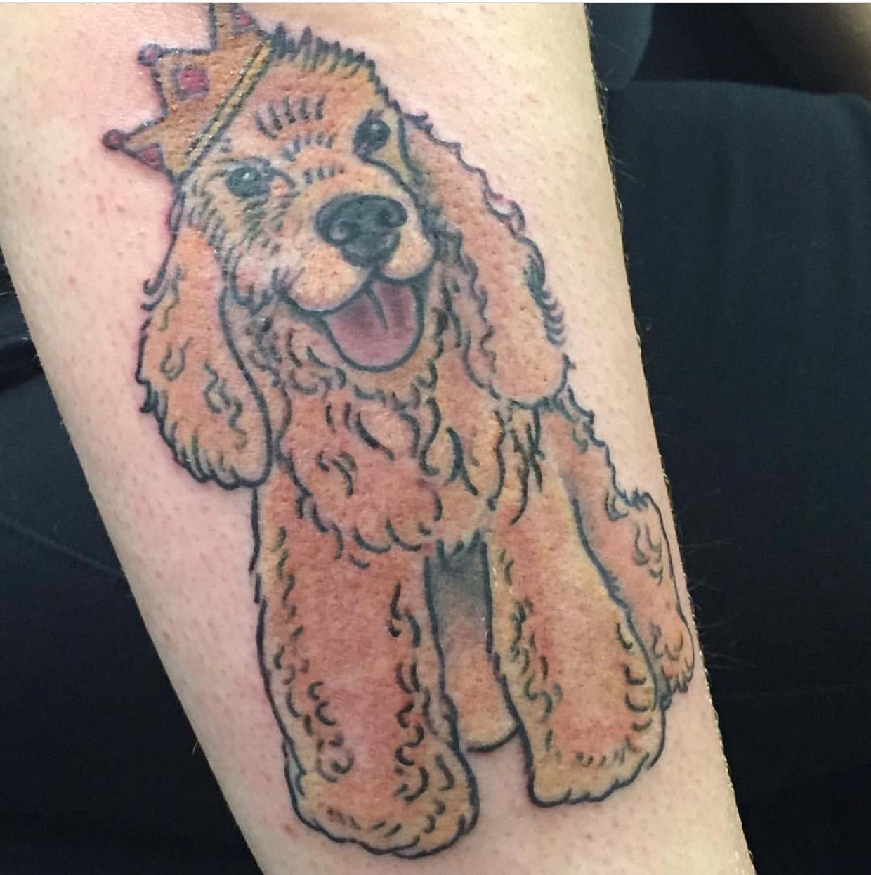 smiling Cocker Spaniel wearing a crown tattoo on the forearm