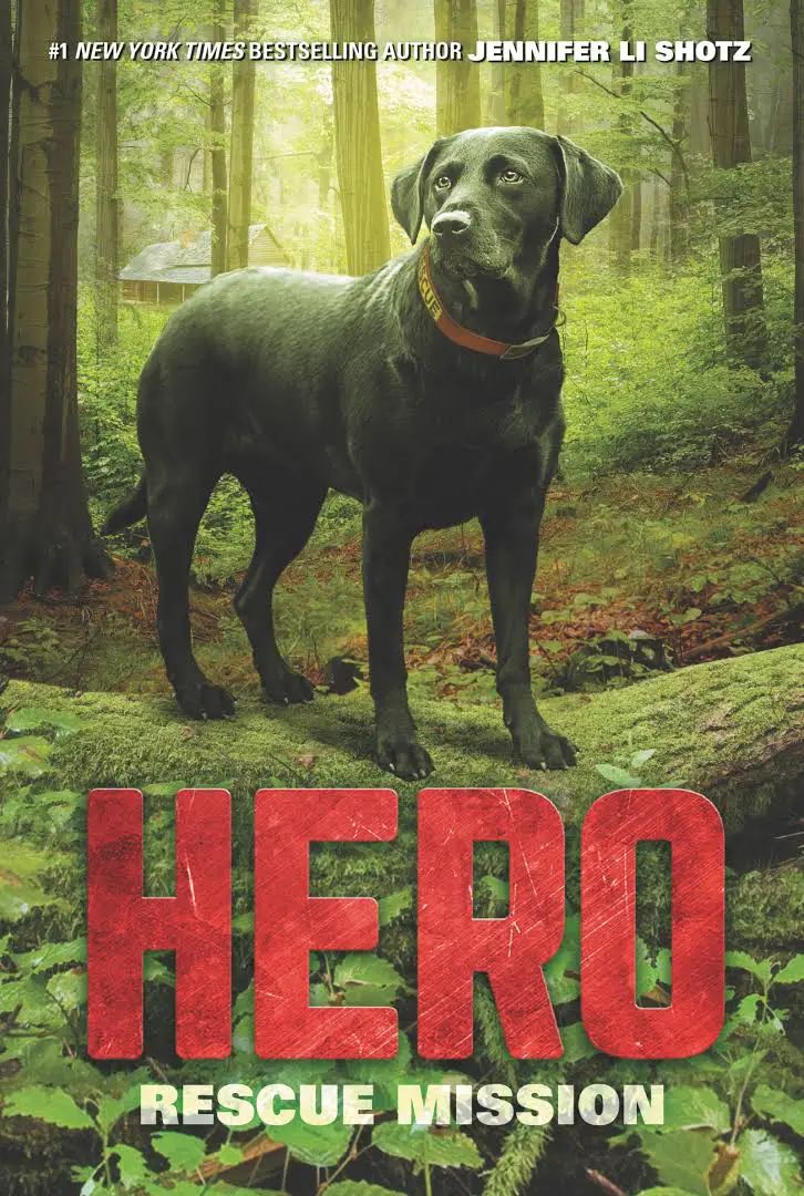photo of a black Labrador Retriever standing in the middle of the forest and with title - Hero, rescue mission