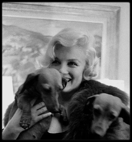 Marilyn Monroe holding her two dachshund dogs