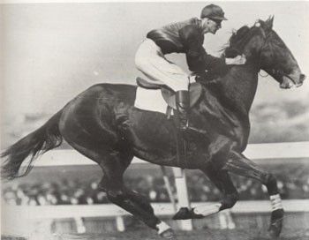 old photo of a man riding horse named Gloaming