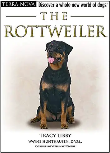 photo of a sitting Rottweiler and with title - The Rottweiler (Terra-Nova)