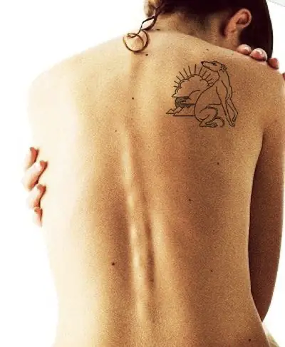 outline of sitting Greyhound with clouds and sun behind tattoo on the shoulder