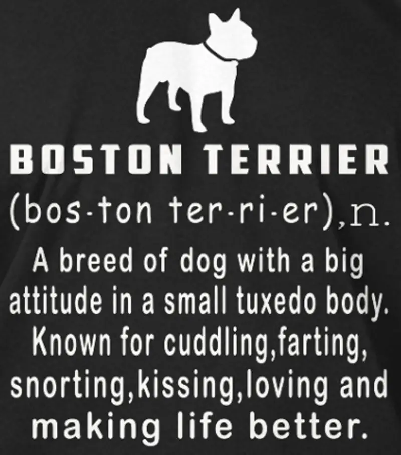 Boston Terrier deifinition 